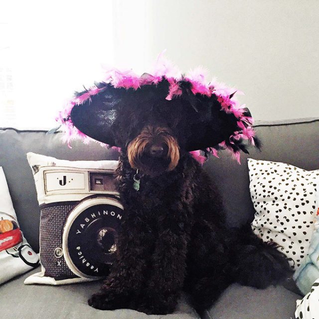 15 Best Throwback Movies to Watch on Netflix this Summer! A Pretty