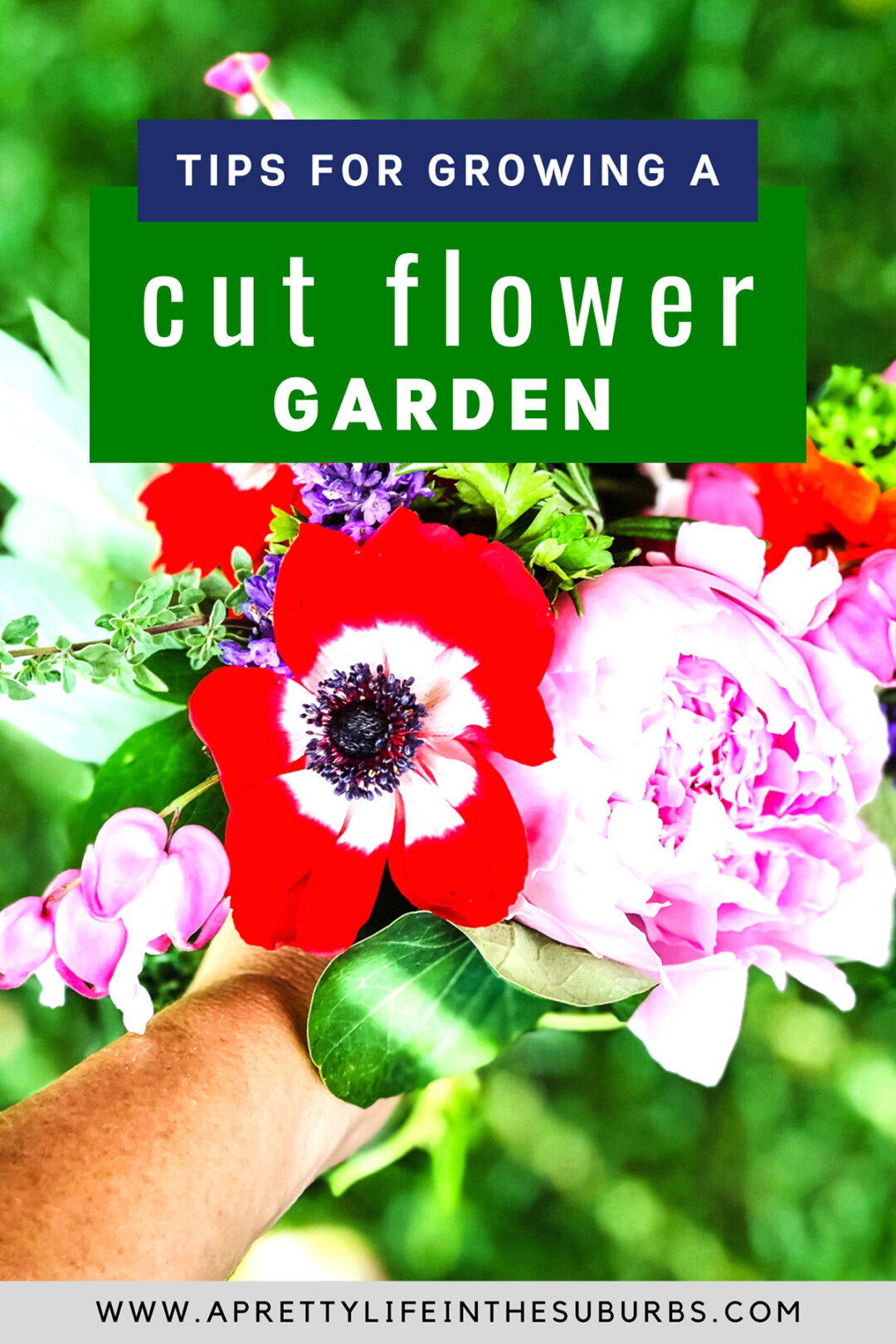 Tips for Growing a Cut Flower Garden - A Pretty Life In The Suburbs