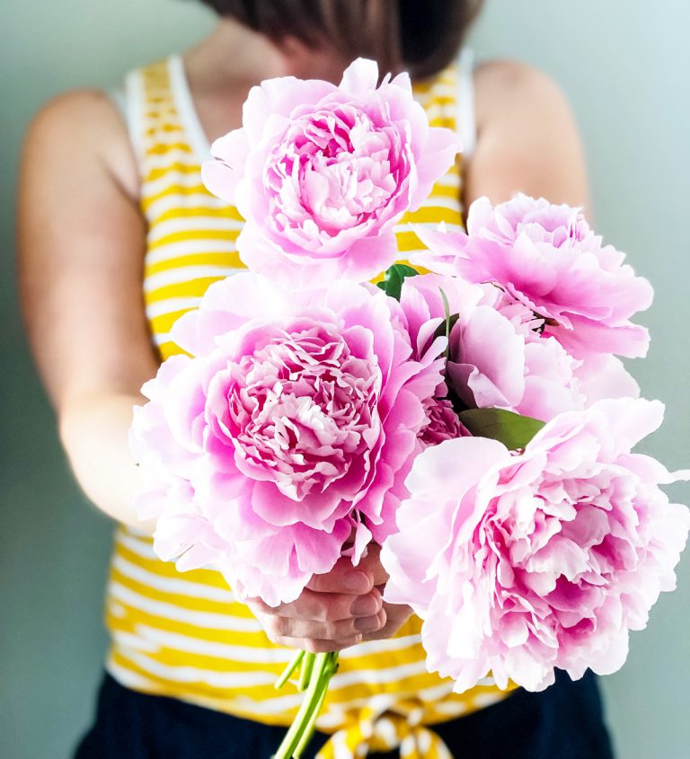 Tips for Growing a Cut Flower Garden - A Pretty Life In The Suburbs