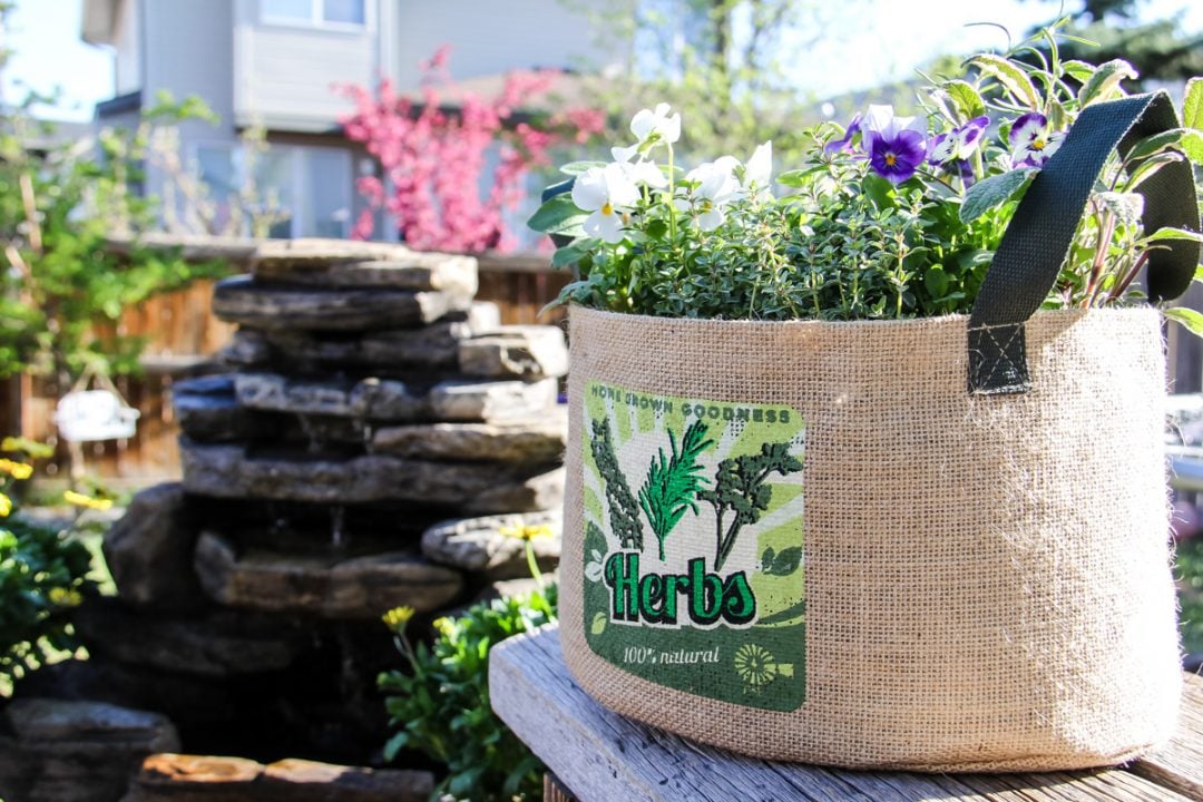 How to Plant a Container Herb Garden - A Pretty Life In The Suburbs