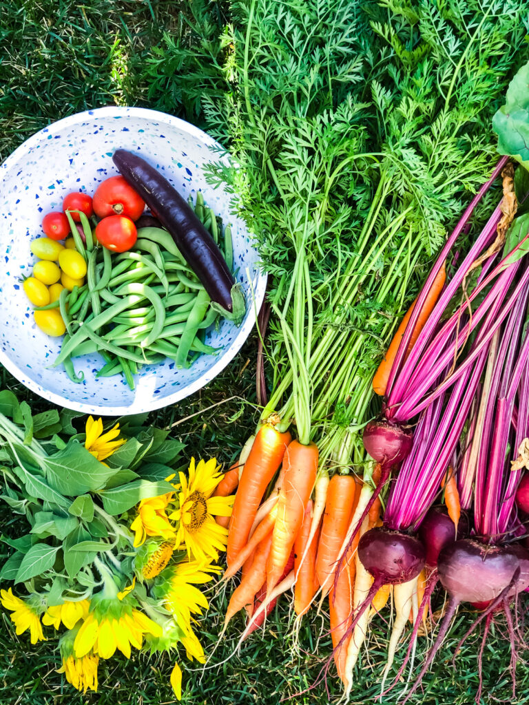 My Urban Vegetable Garden Layout A Pretty Life In The Suburbs