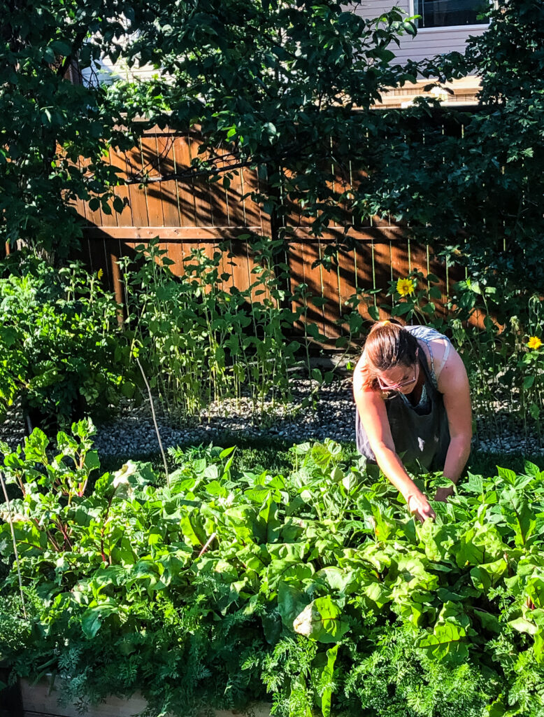 Tips to get your container garden ready for planting! - A Pretty Life ...