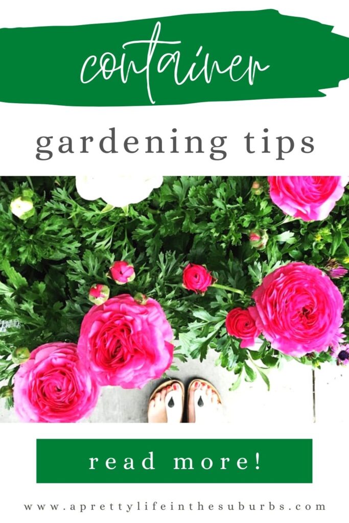 Tips to get your container garden ready for planting! - A Pretty Life ...