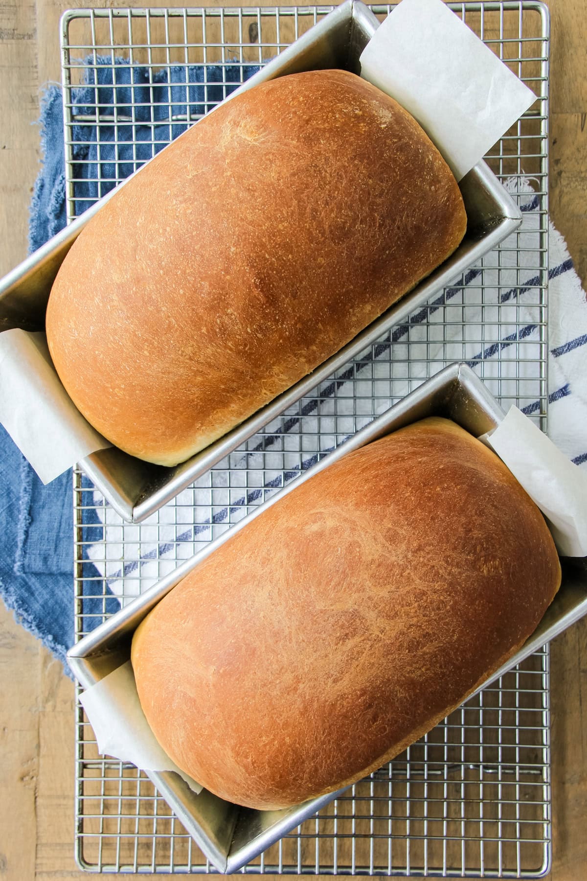 a top down image of two condensed milk bread loaves in baking pans