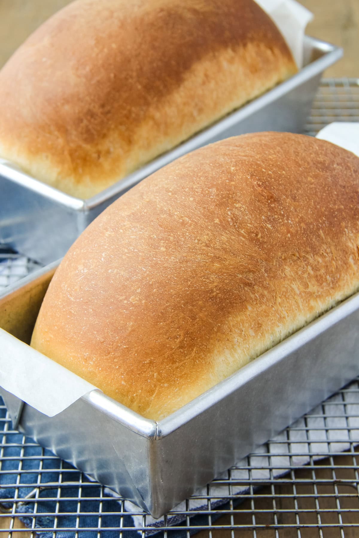 condensed milk bread loaves